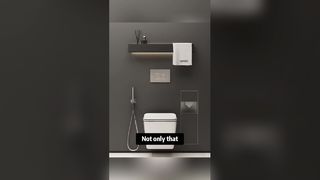 Hidden Bathroom Storage Niche